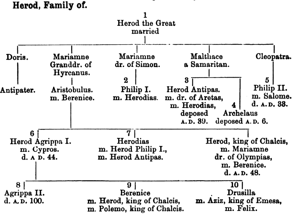 Family Tree of Herod